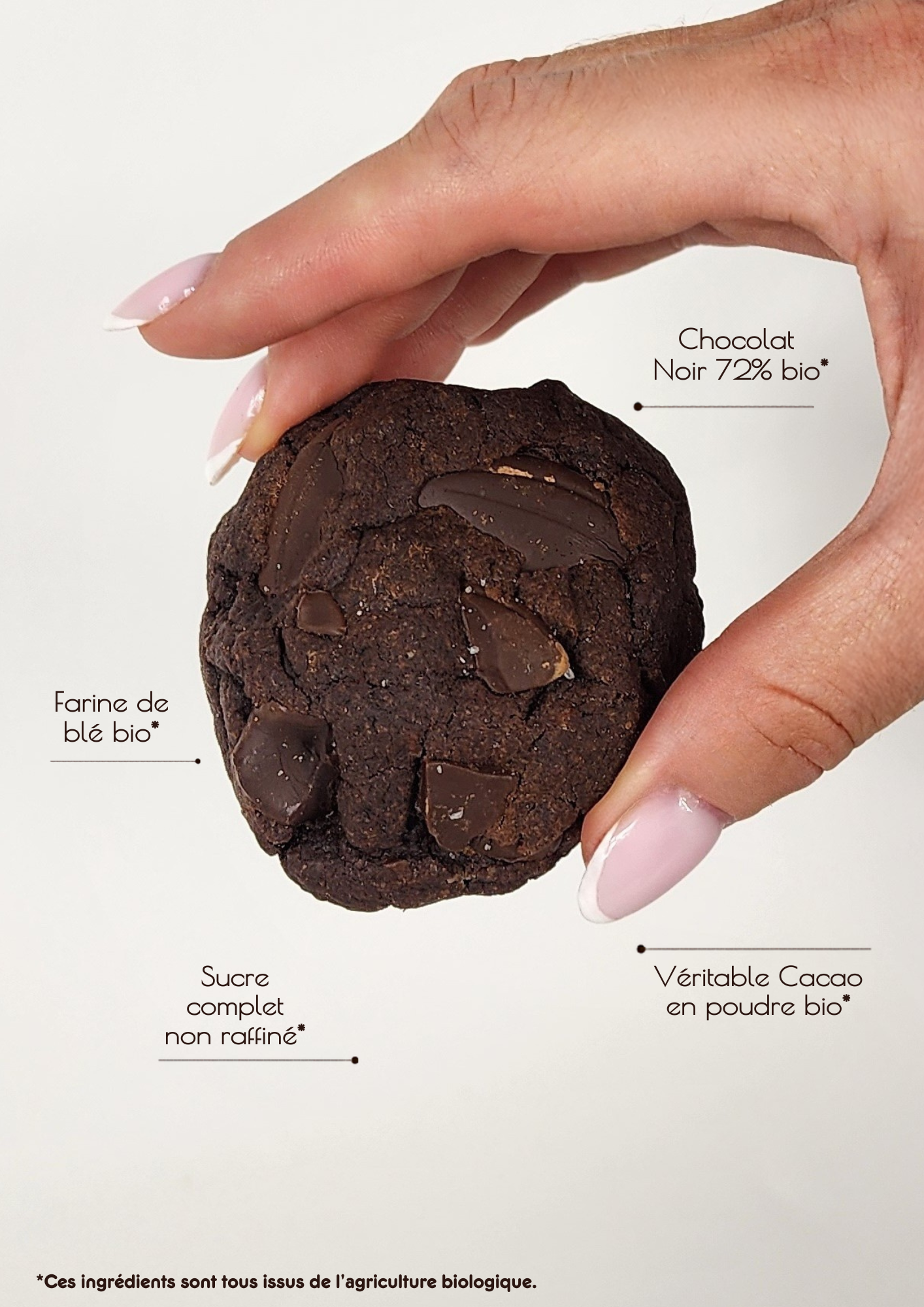 Préparation pour cookies Tout Chocolat : Chocolat Intense