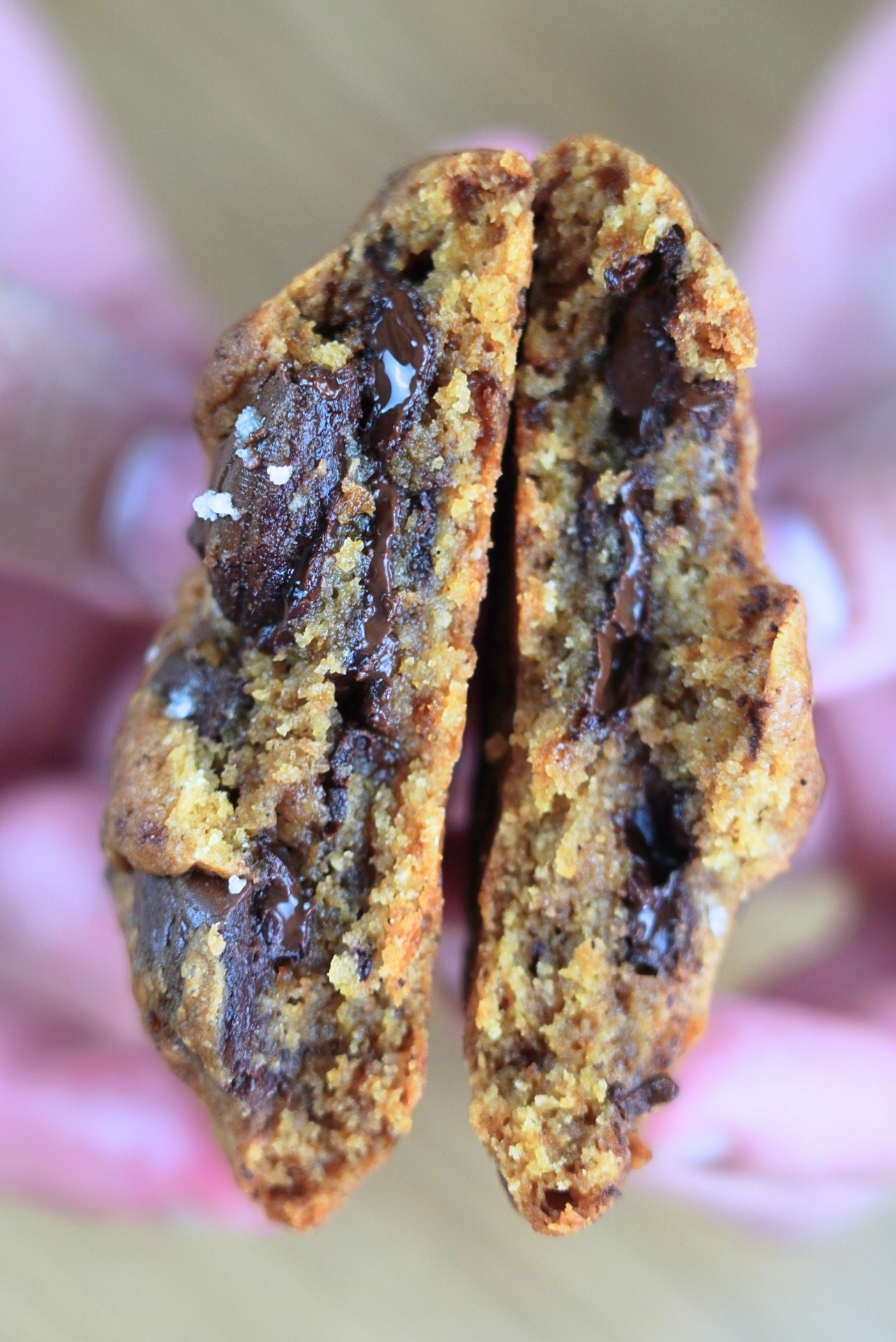 Préparation pour cookies Chocolat Noir / Sel de Guérande
