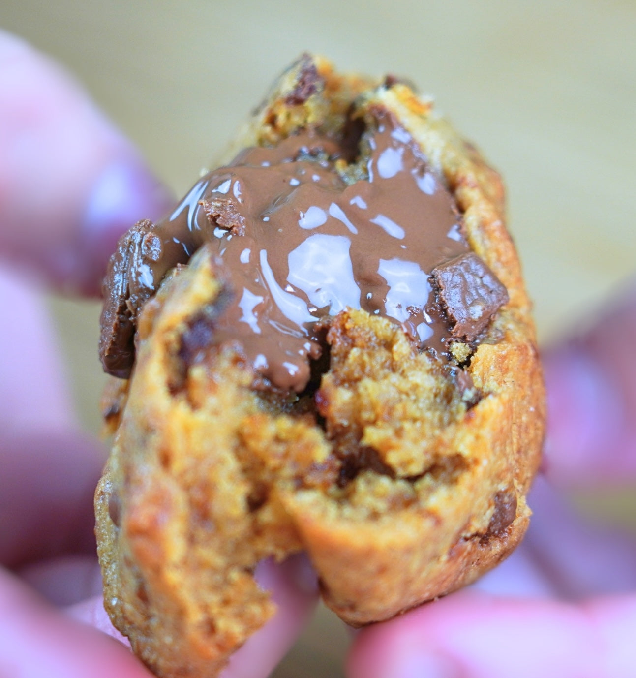 Préparation Sans Gluten pour cookie Chocolat au Lait / Vanille de Madagascar