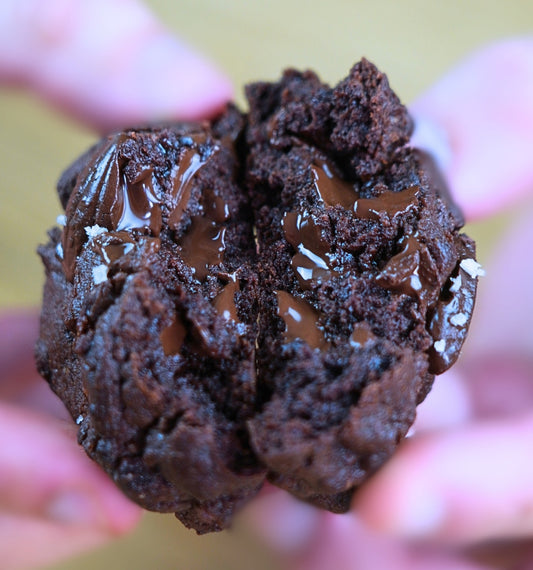 Préparation pour cookies Tout Chocolat : Chocolat Intense